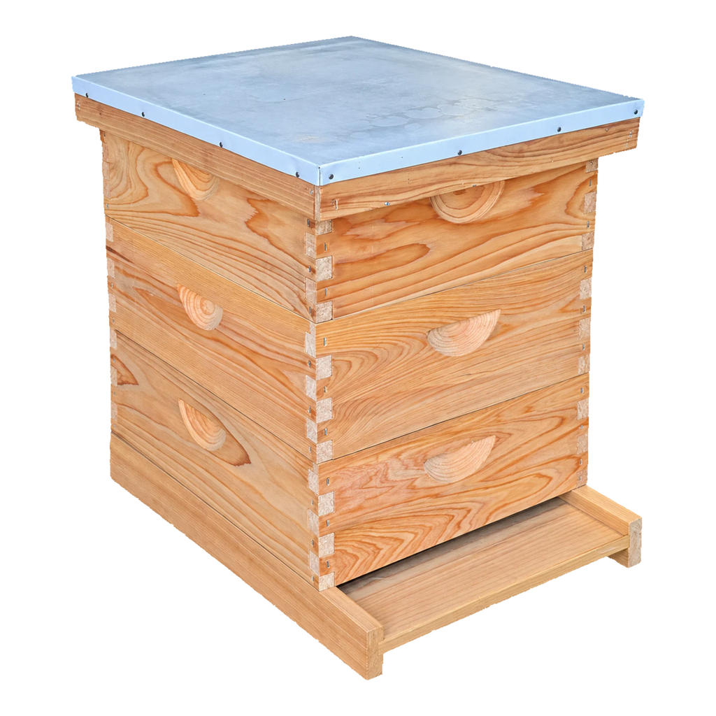 10-Frame All-Medium Box Hive Kit
