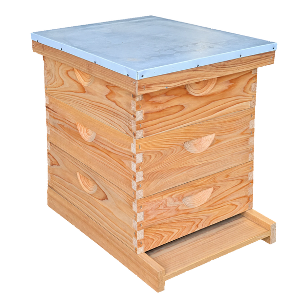 10-Frame All-Medium Box Hive Kit