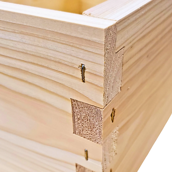 10-Frame All-Medium Box Hive Kit