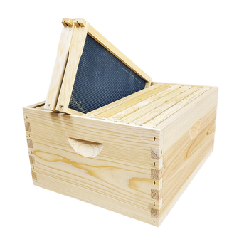 10-Frame Complete, Deep 9 5/8-inch Box with Frames and Foundation