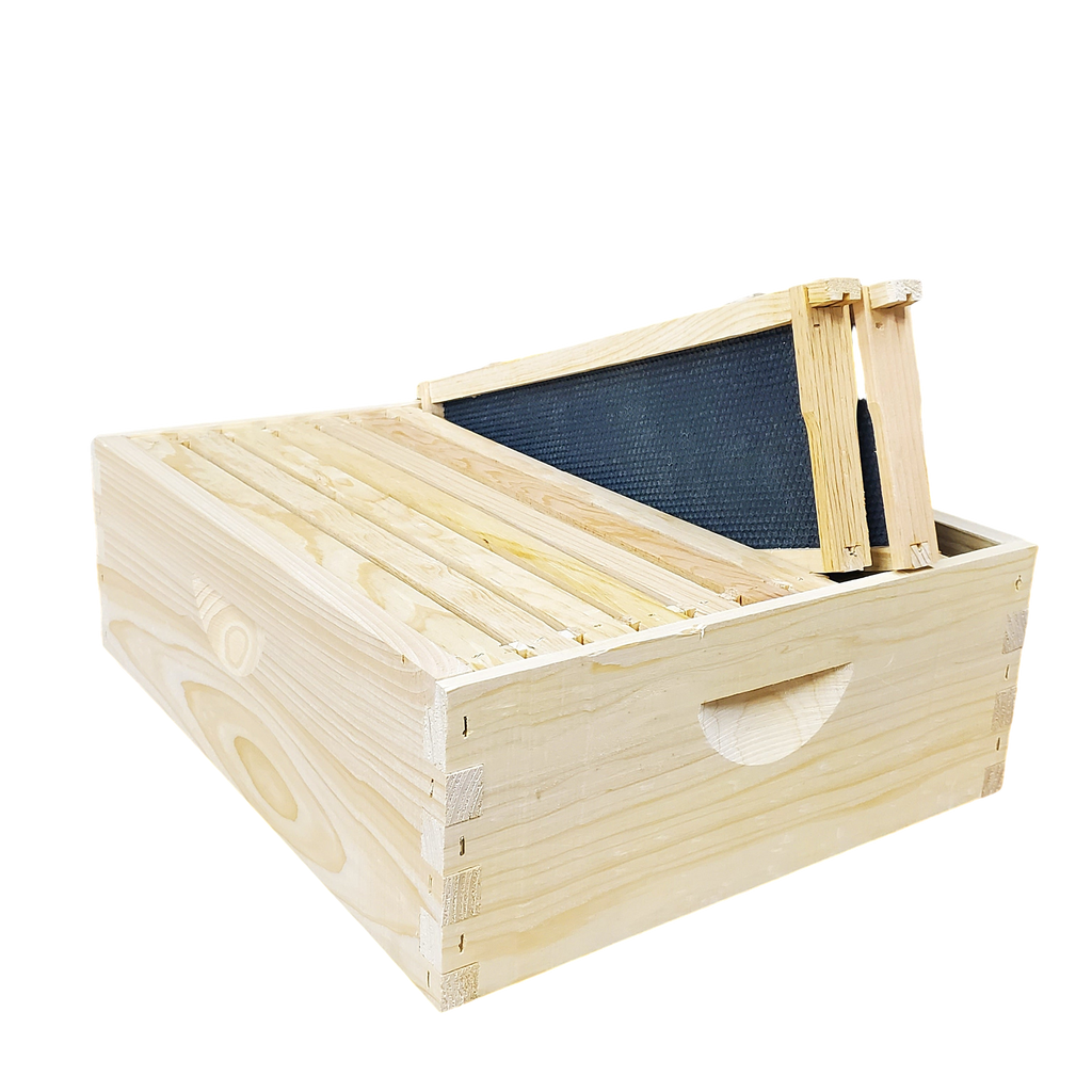 10-Frame Complete, Medium 6 5/8-inch Box with Frames and Foundation