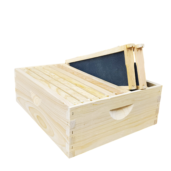 10-Frame Complete, Medium 6 5/8-inch Box with Frames and Foundation