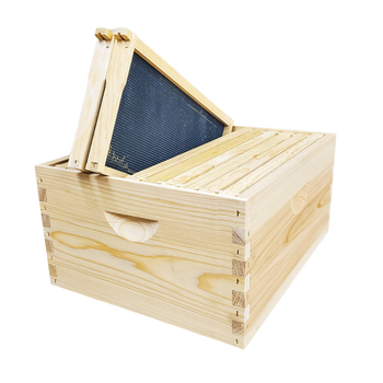 10-Frame Complete, Deep 9 5/8-inch Box with Frames and Foundation