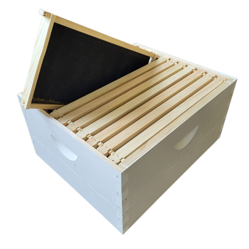 10-Frame Complete, Deep 9 5/8-inch Box with Frames and Foundation