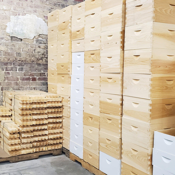 10-Frame Complete, Deep 9 5/8-inch Box with Frames and Foundation