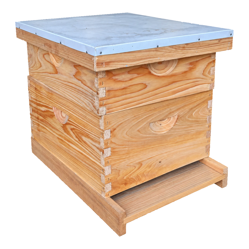10-Frame Deep and Medium Box Hive Kit