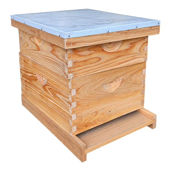 10-Frame Deep and Medium Box Hive Kit