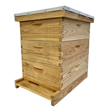 10-Frame All-Medium Box Hive Kit