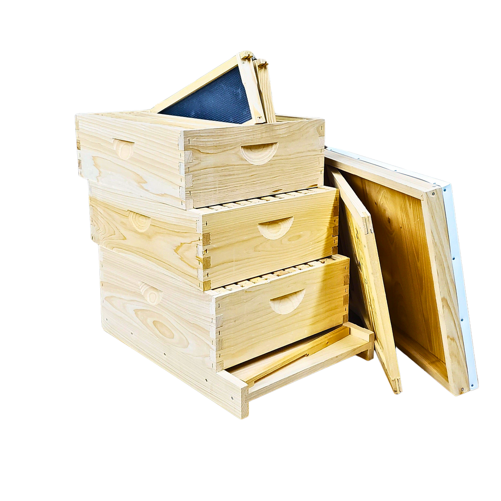 10-Frame All-Medium Box Hive Kit