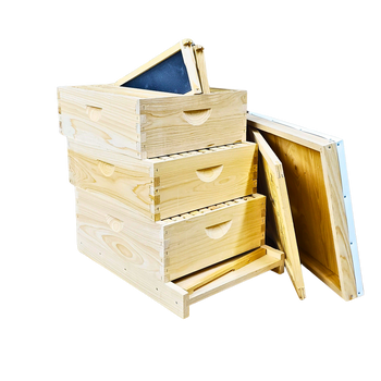 10-Frame All-Medium Box Hive Kit