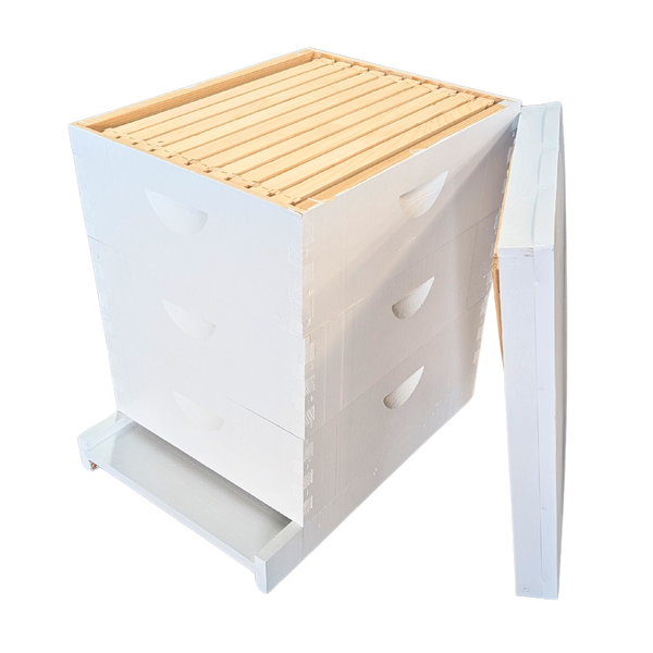 10-Frame All-Medium Box Hive Kit
