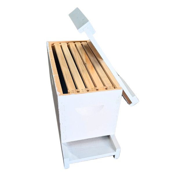 5-Frame Complete, Deep 9 5/8-inch Box with Frames and Foundation