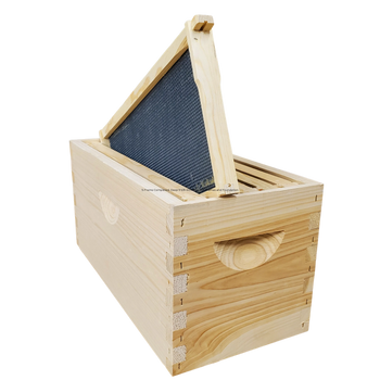 5-Frame Complete, Deep 9 5/8-inch Box with Frames and Foundation