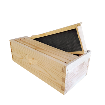 5-Frame Complete, Medium 6 5/8-inch Box with Frames and Foundation