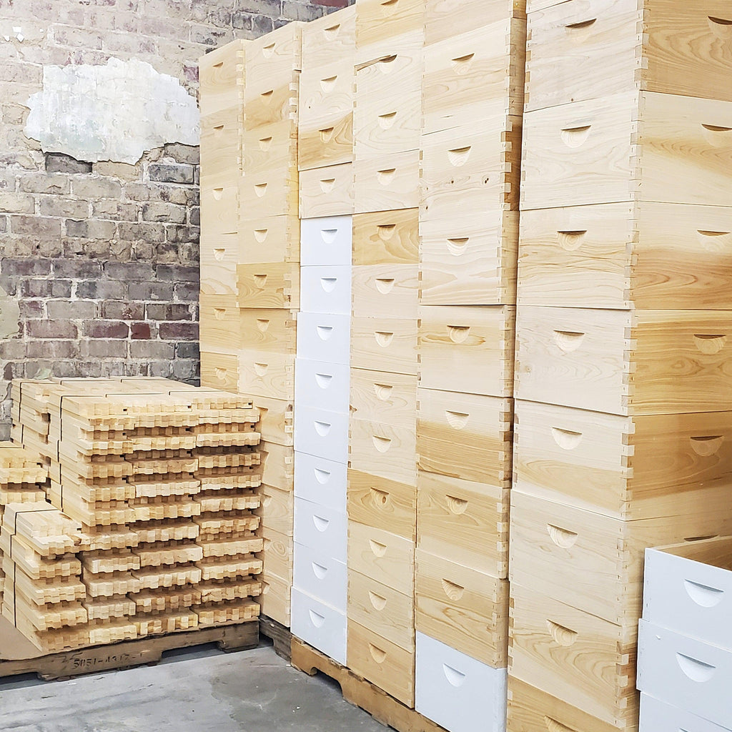 5 Frame Cypress Deep 9 5/8-Inch Brood Box