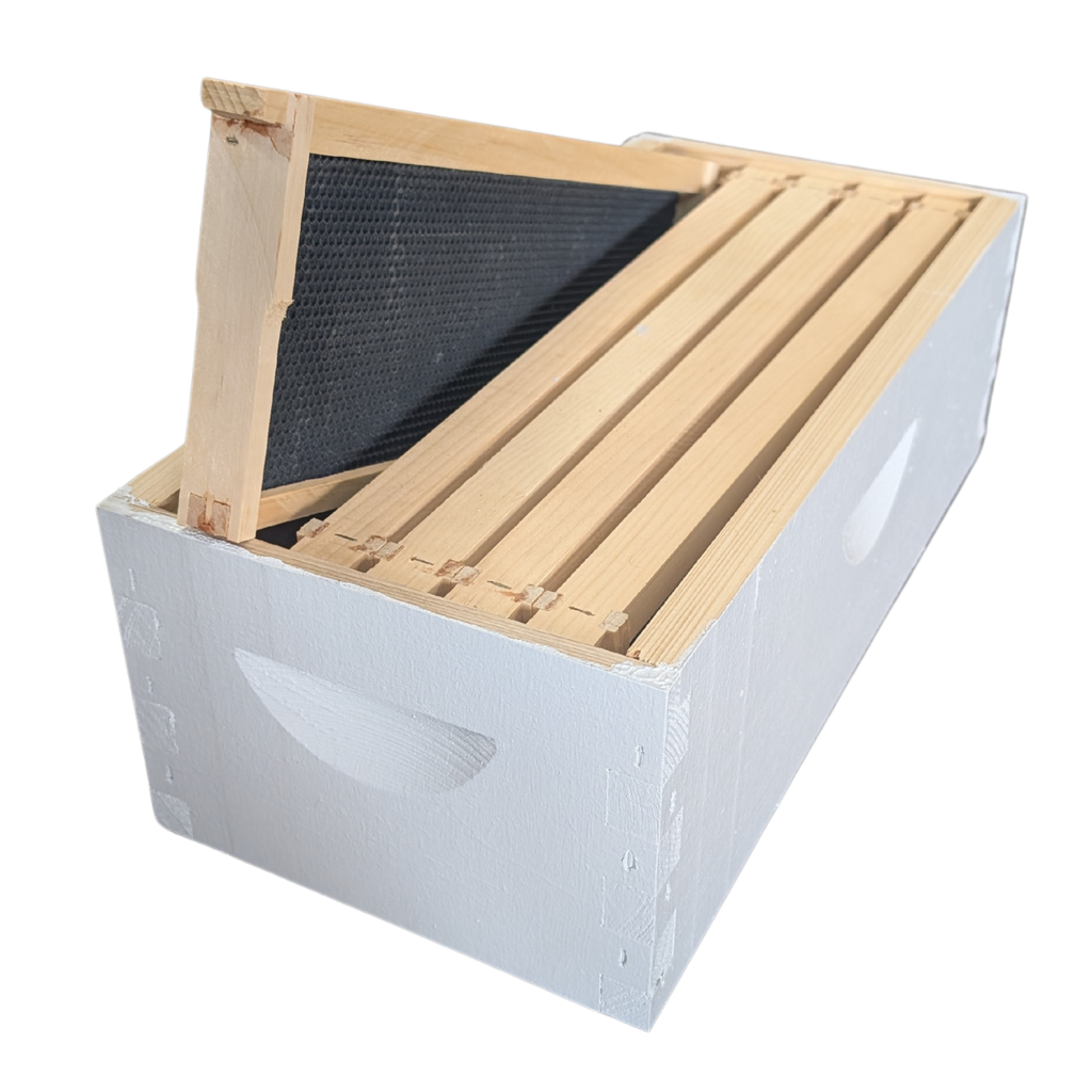 5-Frame Complete, Medium 6 5/8-inch Box with Frames and Foundation