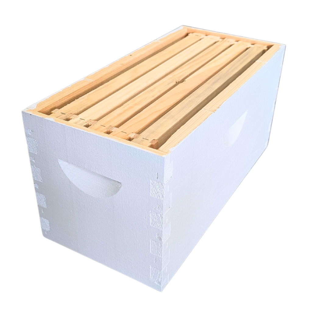 5-Frame Complete, Deep 9 5/8-inch Box with Frames and Foundation