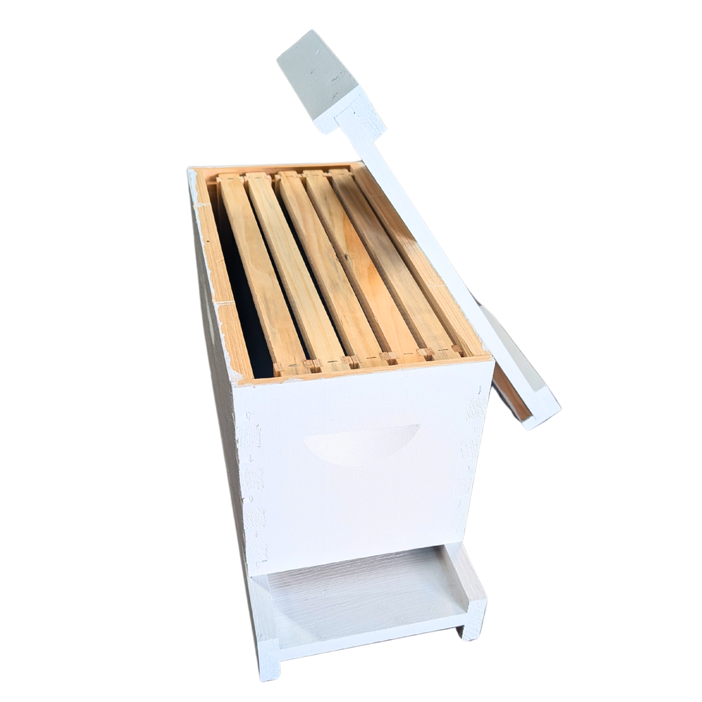 5-Frame Complete, Deep 9 5/8-inch Box with Frames and Foundation