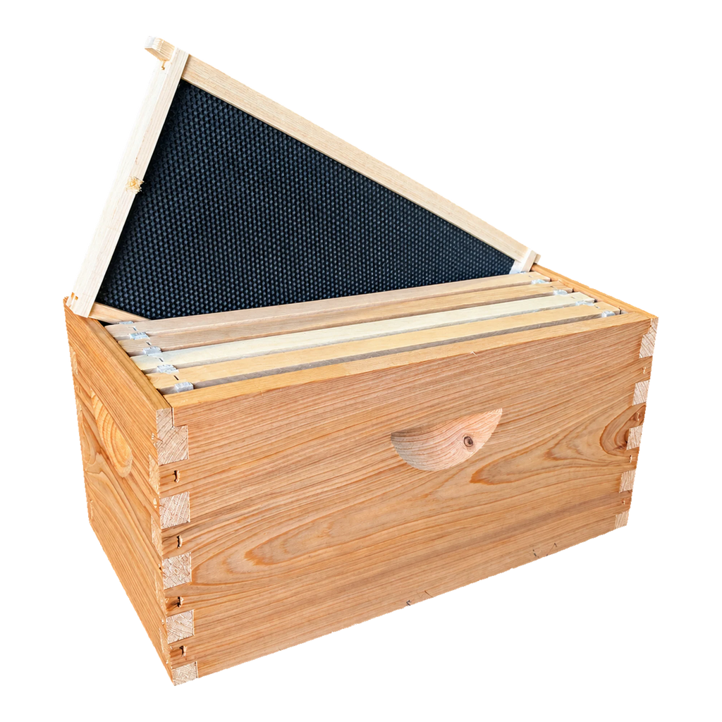 5-Frame Complete, Deep 9 5/8-inch Box with Frames and Foundation