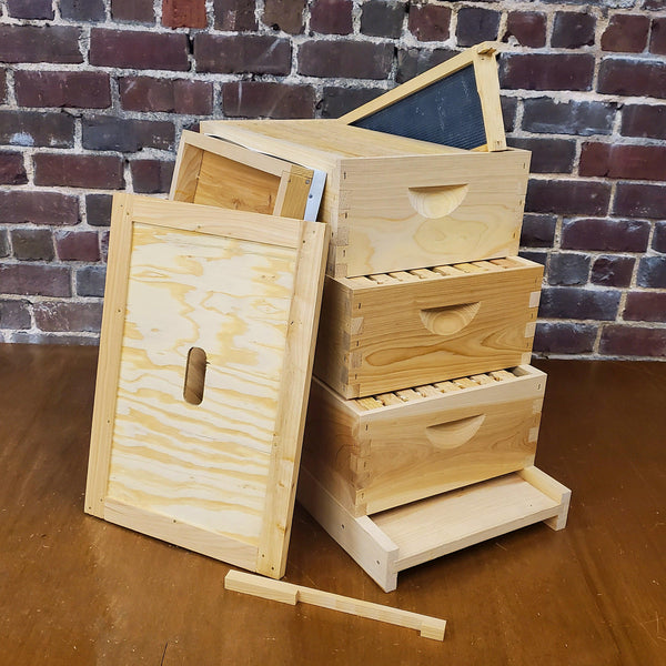 8-Frame All-Medium Box Hive Kit