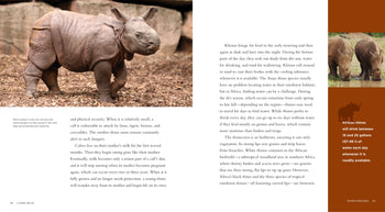 Living Wild - Classic Edition: Rhinoceroses by The Creative Company Shop