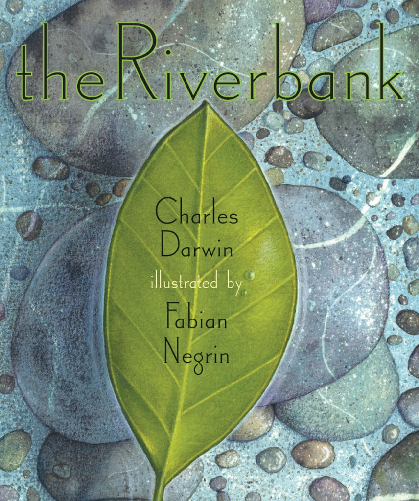 Riverbank, The by The Creative Company Shop