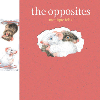 Mouse Books: The Opposites by The Creative Company Shop