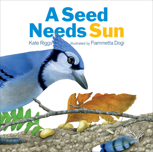 Seed Needs Sun, A by The Creative Company Shop