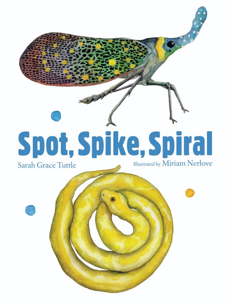 Spot, Spike, Spiral by The Creative Company Shop