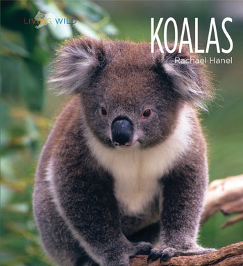 Living Wild - Classic Edition: Koalas by The Creative Company Shop