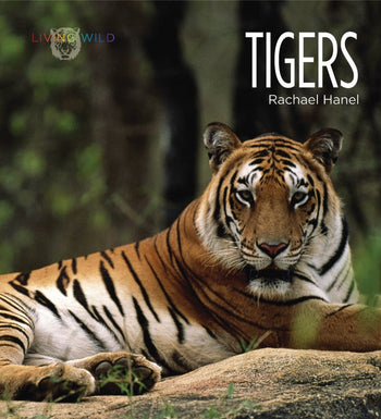 Living Wild - Classic Edition: Tigers by The Creative Company Shop