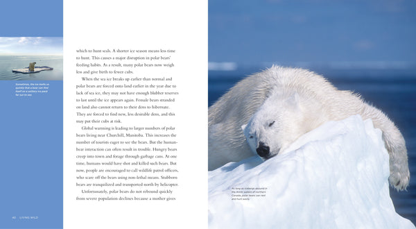 Living Wild - Classic Edition: Polar Bears by The Creative Company Shop