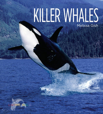 Living Wild - Classic Edition: Killer Whales by The Creative Company Shop