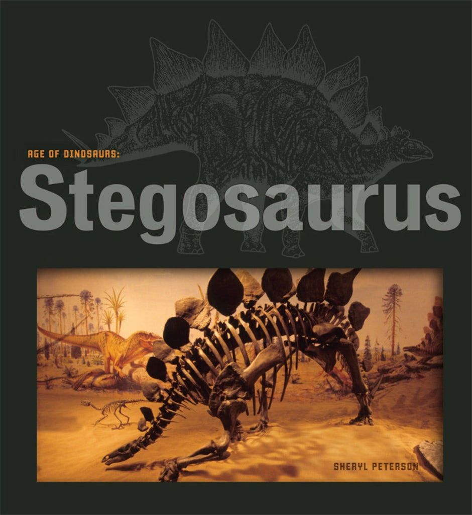 Age of Dinosaurs: Stegosaurus by The Creative Company Shop