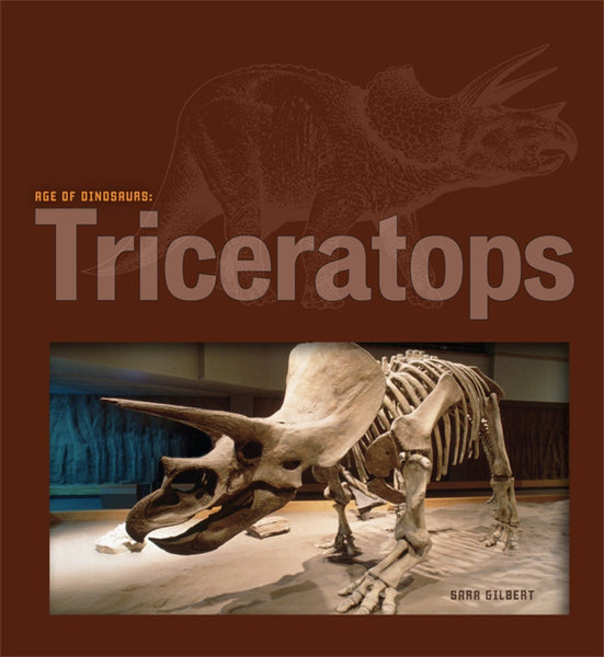 Age of Dinosaurs: Triceratops by The Creative Company Shop