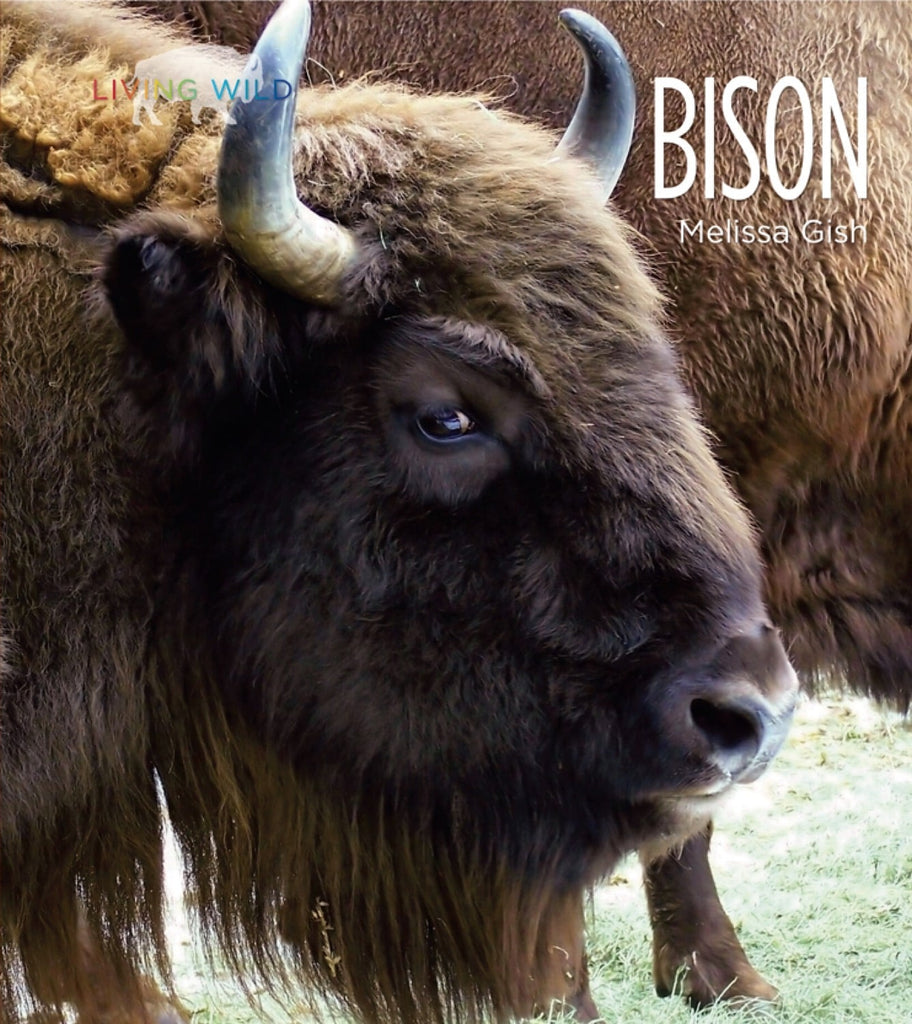 Living Wild - Classic Edition: Bison by The Creative Company Shop