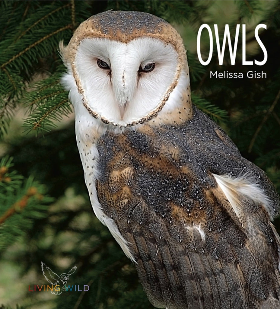 Living Wild - Classic Edition: Owls by The Creative Company Shop