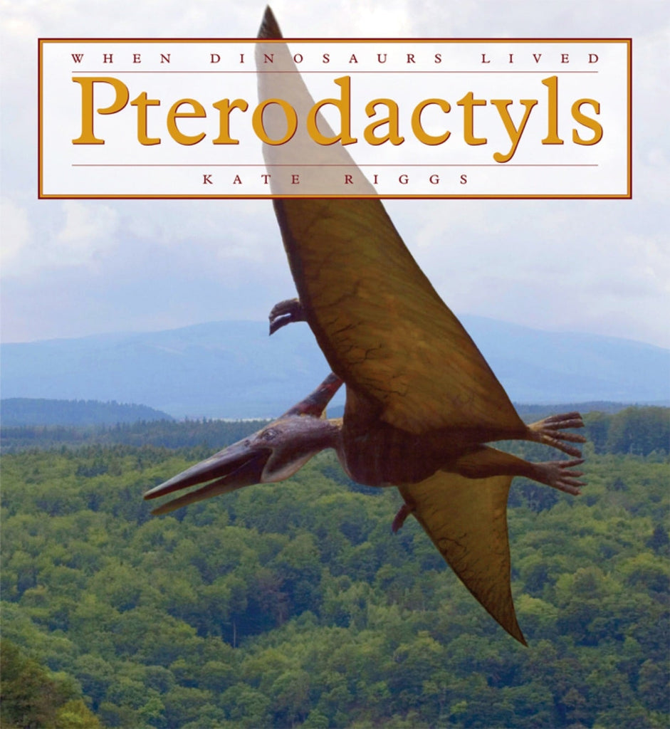 When Dinosaurs Lived: Pterodactyls by The Creative Company Shop