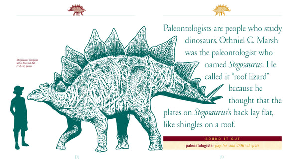 When Dinosaurs Lived: Stegosaurus by The Creative Company Shop