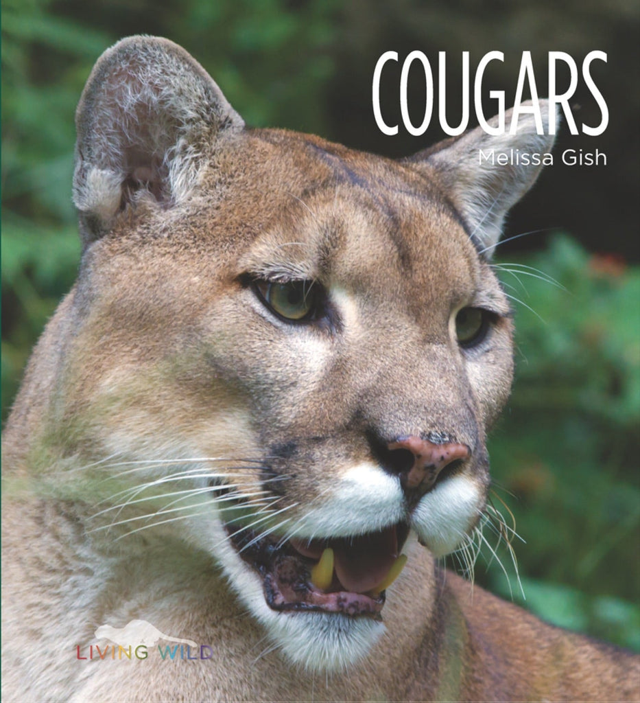 Living Wild - Classic Edition: Cougars by The Creative Company Shop