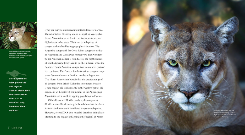 Living Wild - Classic Edition: Cougars by The Creative Company Shop