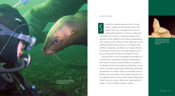 Living Wild - Classic Edition: Sea Lions by The Creative Company Shop