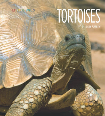 Living Wild - Classic Edition: Tortoises by The Creative Company Shop