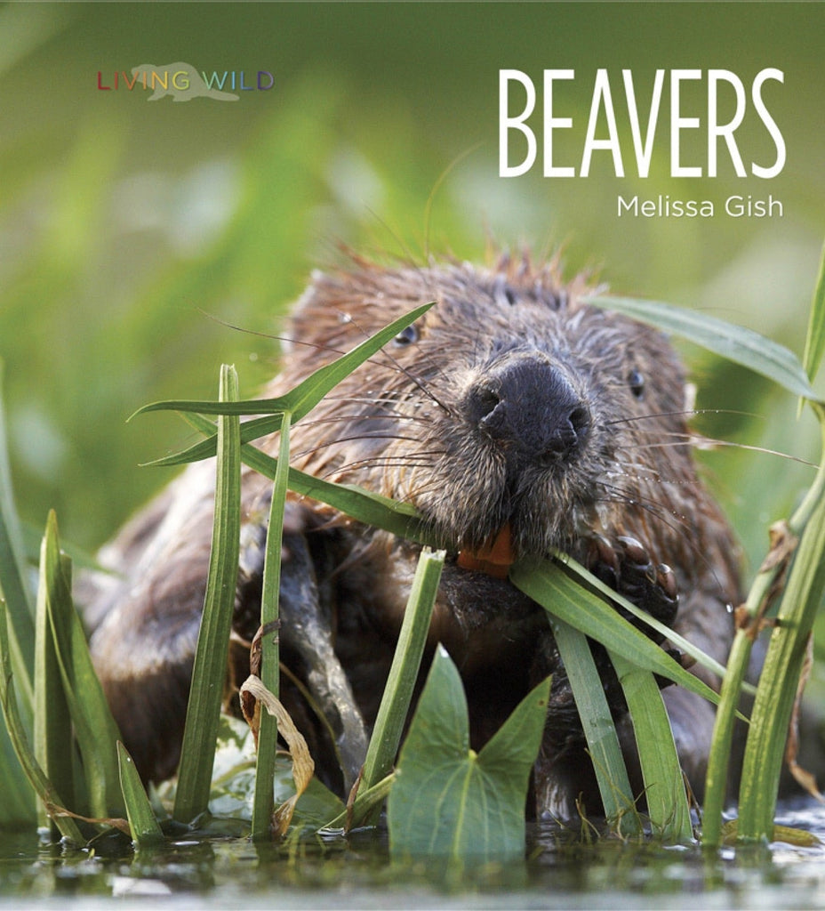 Living Wild - Classic Edition: Beavers by The Creative Company Shop