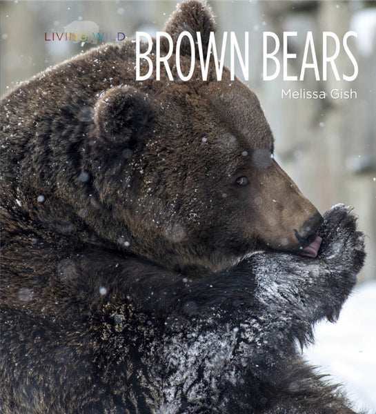 Living Wild - Classic Edition: Brown Bears by The Creative Company Shop