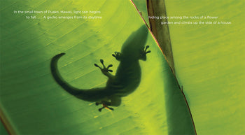 Living Wild - Classic Edition: Geckos by The Creative Company Shop