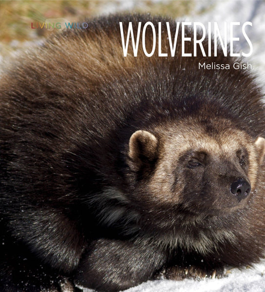 Living Wild - Classic Edition: Wolverines by The Creative Company Shop