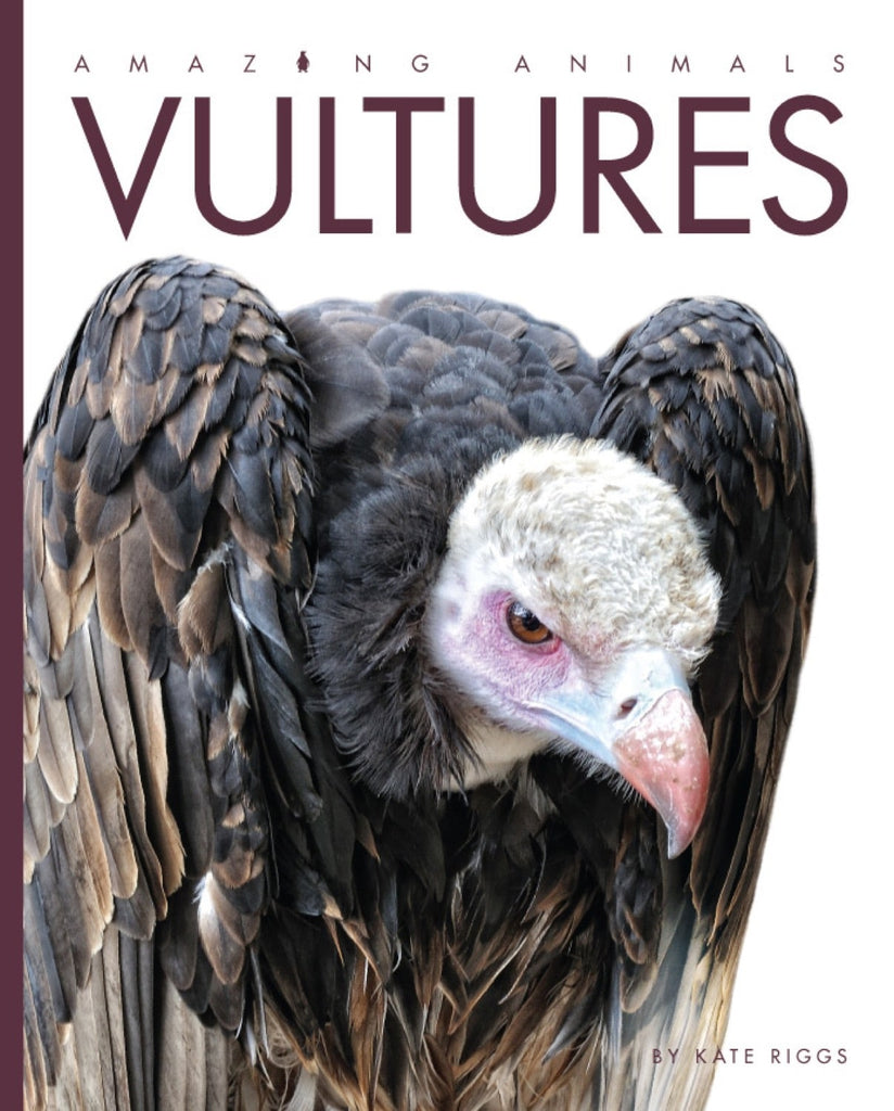 Amazing Animals (2014): Vultures by The Creative Company Shop