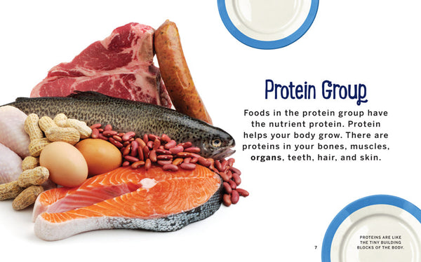 Healthy Plates: Proteins by The Creative Company Shop