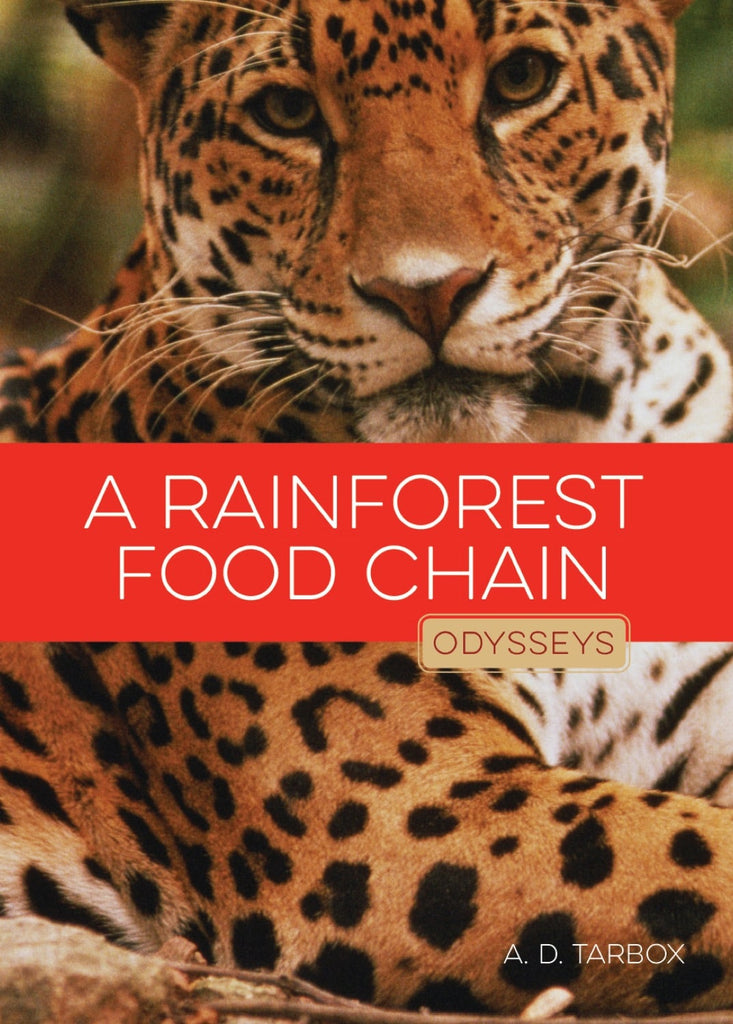 Odysseys in Nature: Rainforest Food Chain, A by The Creative Company Shop